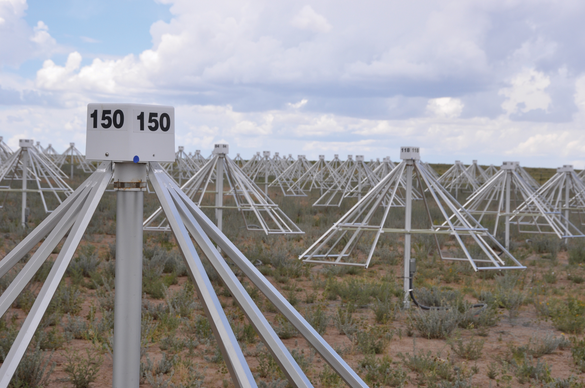 Amidst the Antennas of the LWA