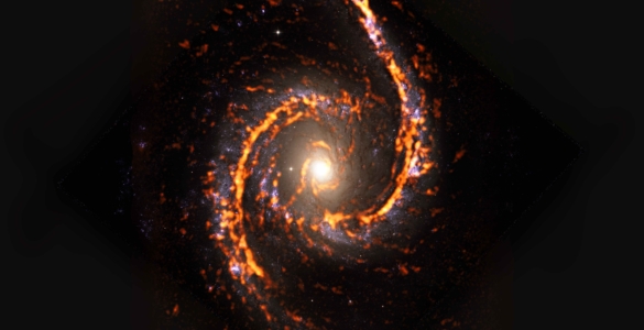 PHANGS-ALMA Survey: NGC1566