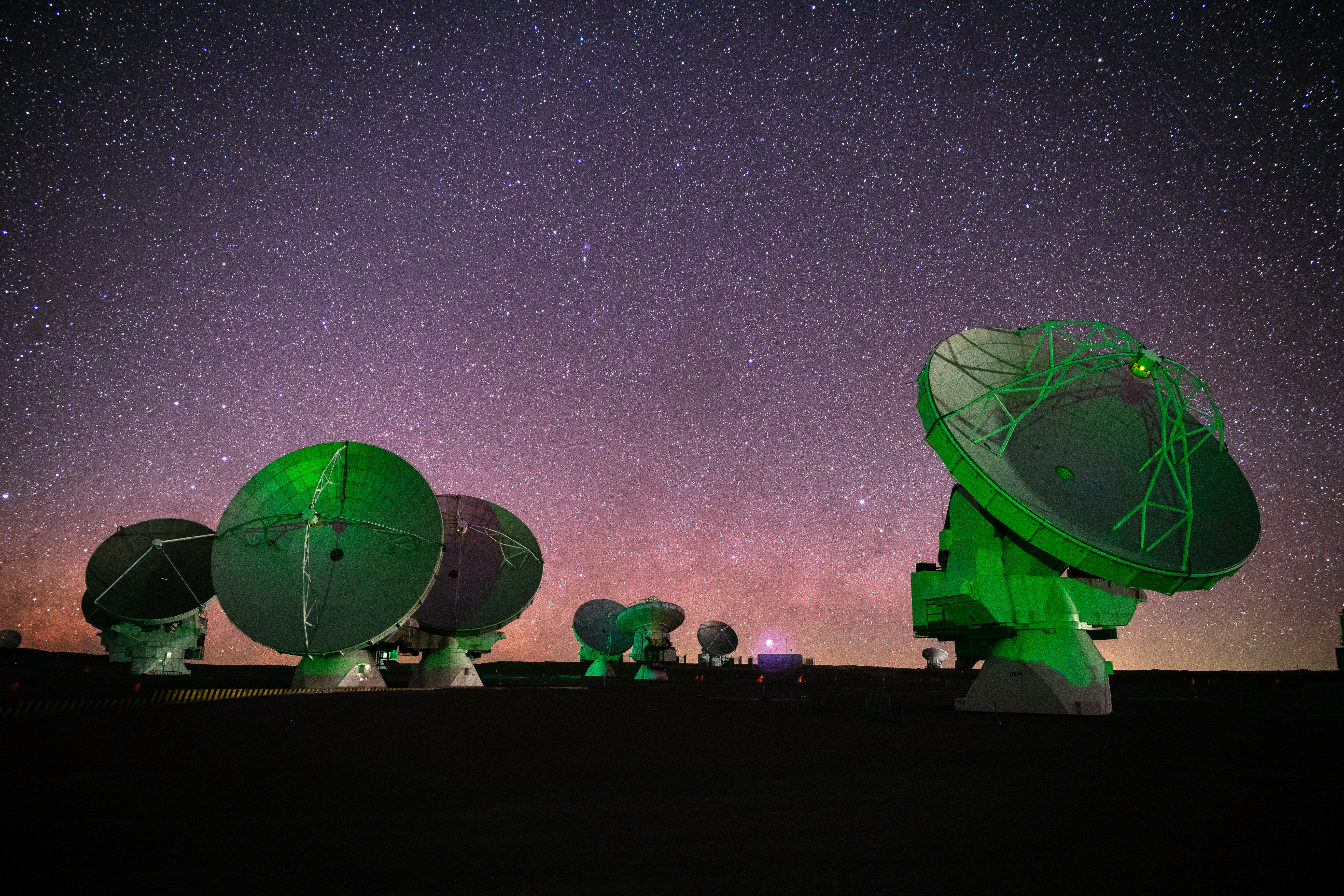 Green ALMA Dishes